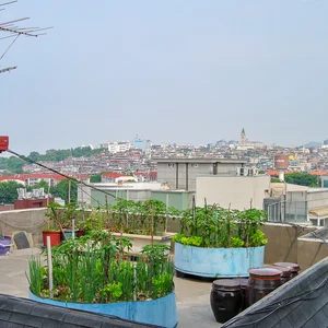 Seoul, Kimchi and Rock'n'Roll — DSC_0001