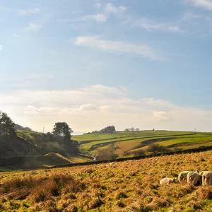 Hadrian's Wall: Frontier of the Roman Empire — DSC_0025