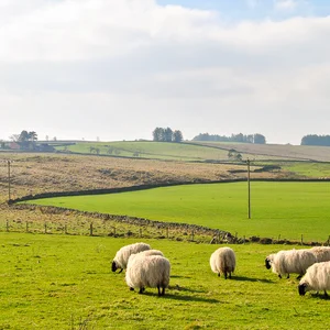 Hadrian's Wall: Frontier of the Roman Empire — DSC_0037