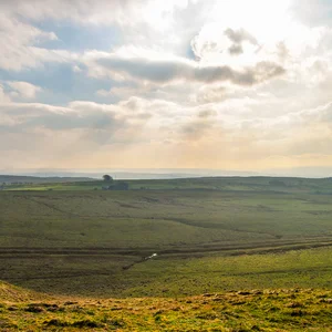 Hadrian's Wall: Frontier of the Roman Empire — DSC_0067