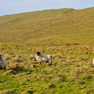 Hadrian's Wall: Frontier of the Roman Empire — DSC_0072