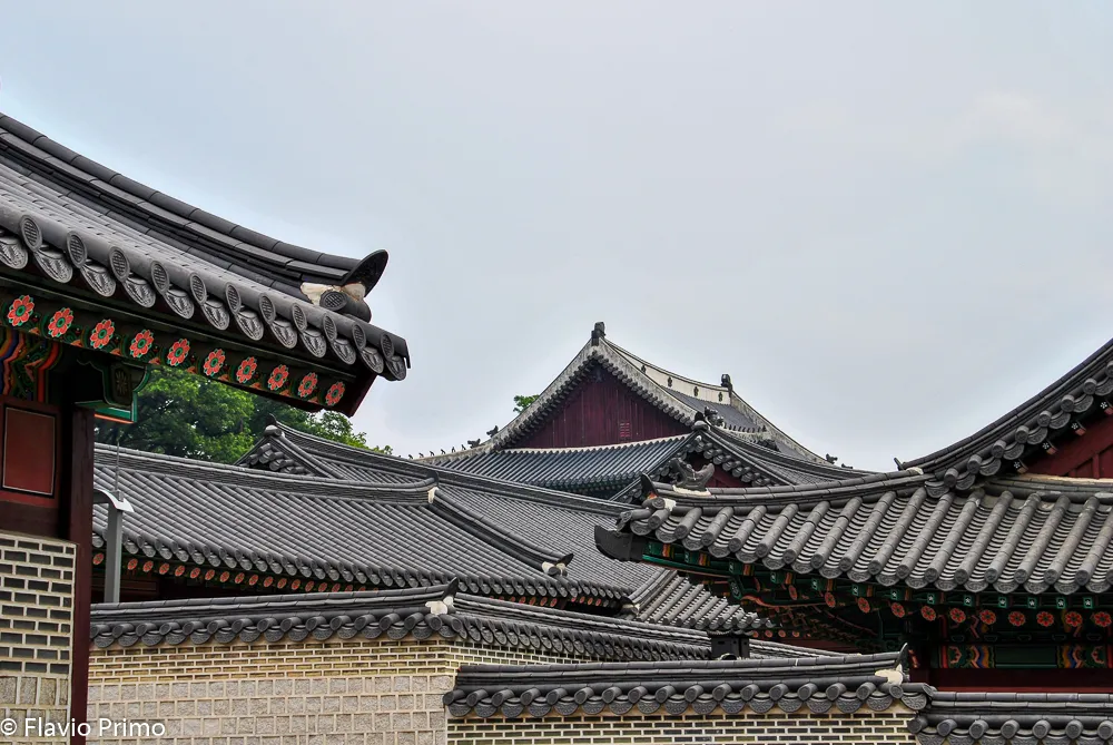 Seoul, Kimchi and Rock'n'Roll — DSC_0075