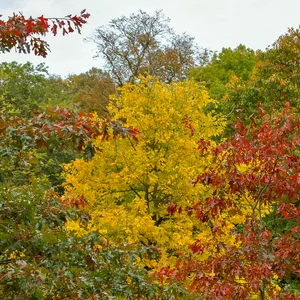 Durham — DSC_0079
