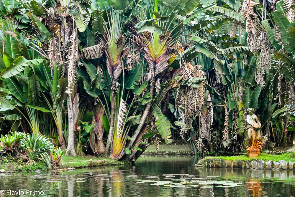 Rio, the New World — DSC_0096