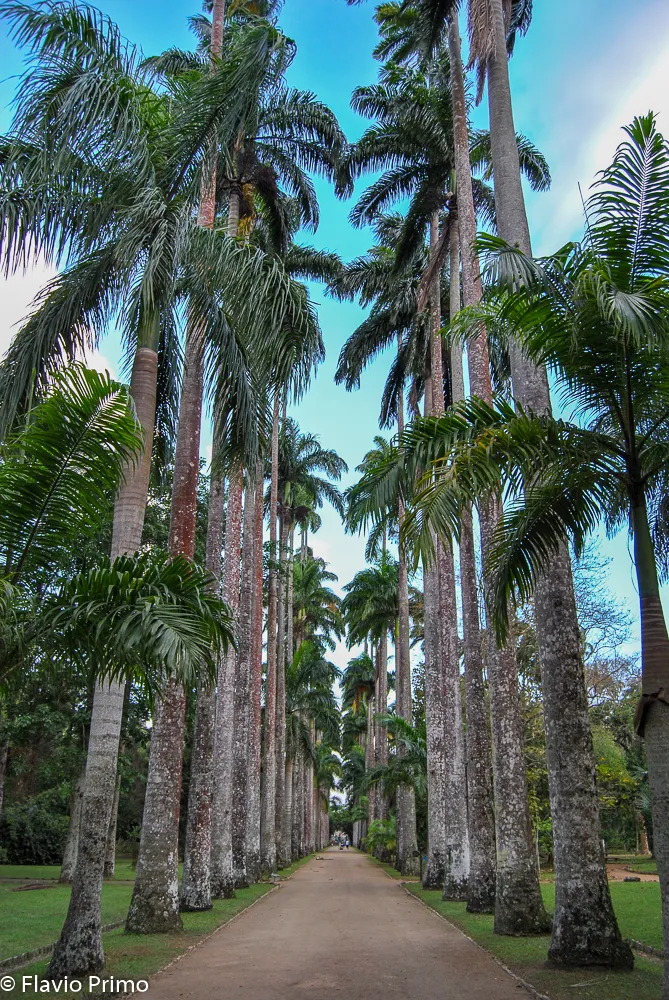 Rio, the New World — DSC_0118
