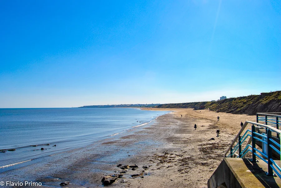 Tynemouth, last days with the geordies cover image