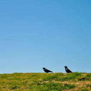 Tynemouth, last days with the geordies — DSC_0155