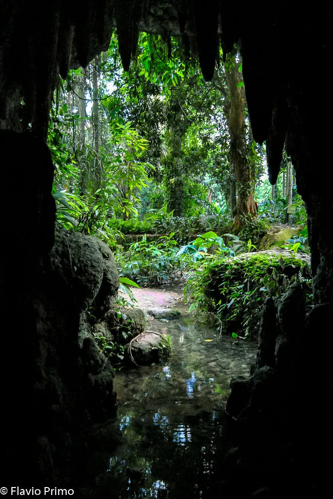 Rio, the New World — DSC_0225