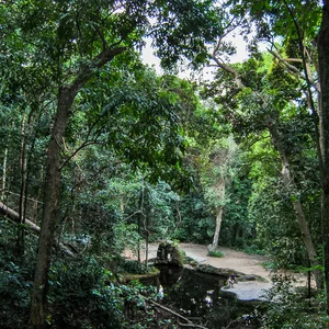 Rio, the New World — DSC_0237
