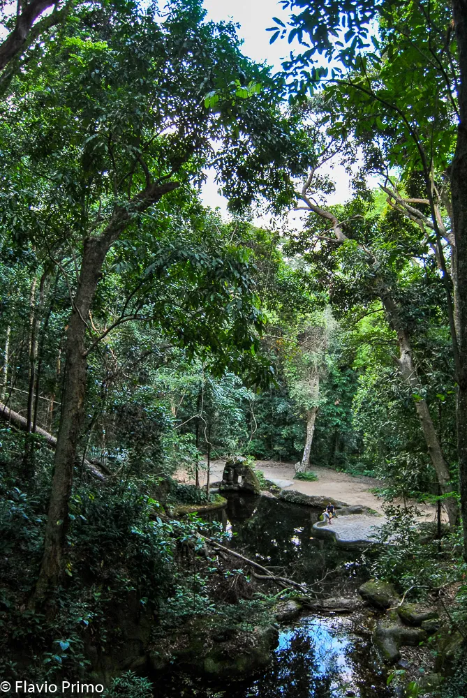 Rio, the New World — DSC_0237