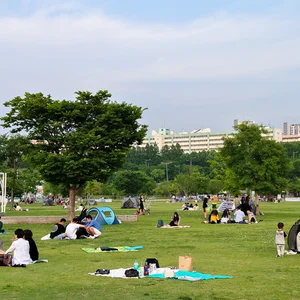 Seoul, Kimchi and Rock'n'Roll — DSC_0510